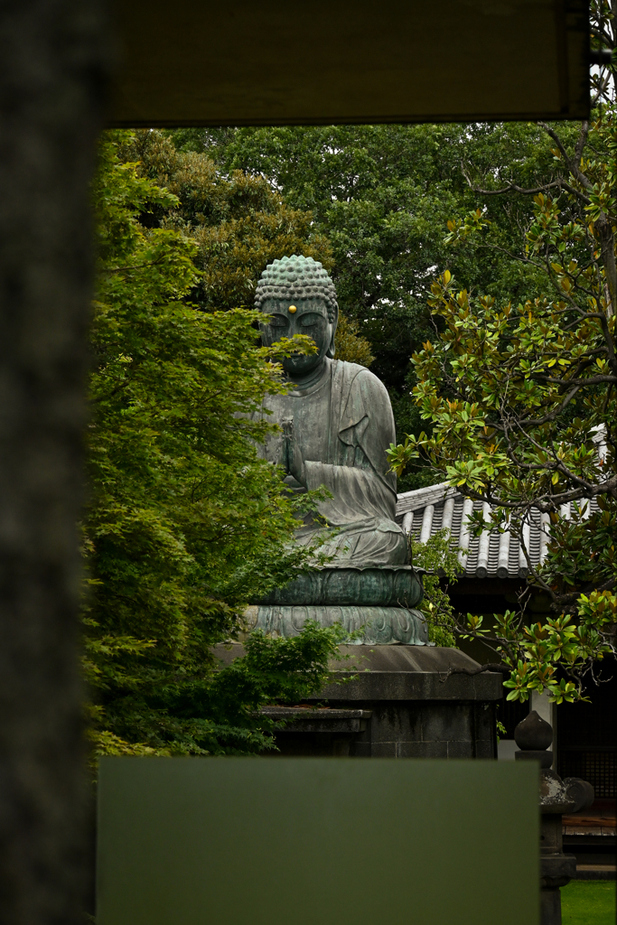 閉園後の大仏