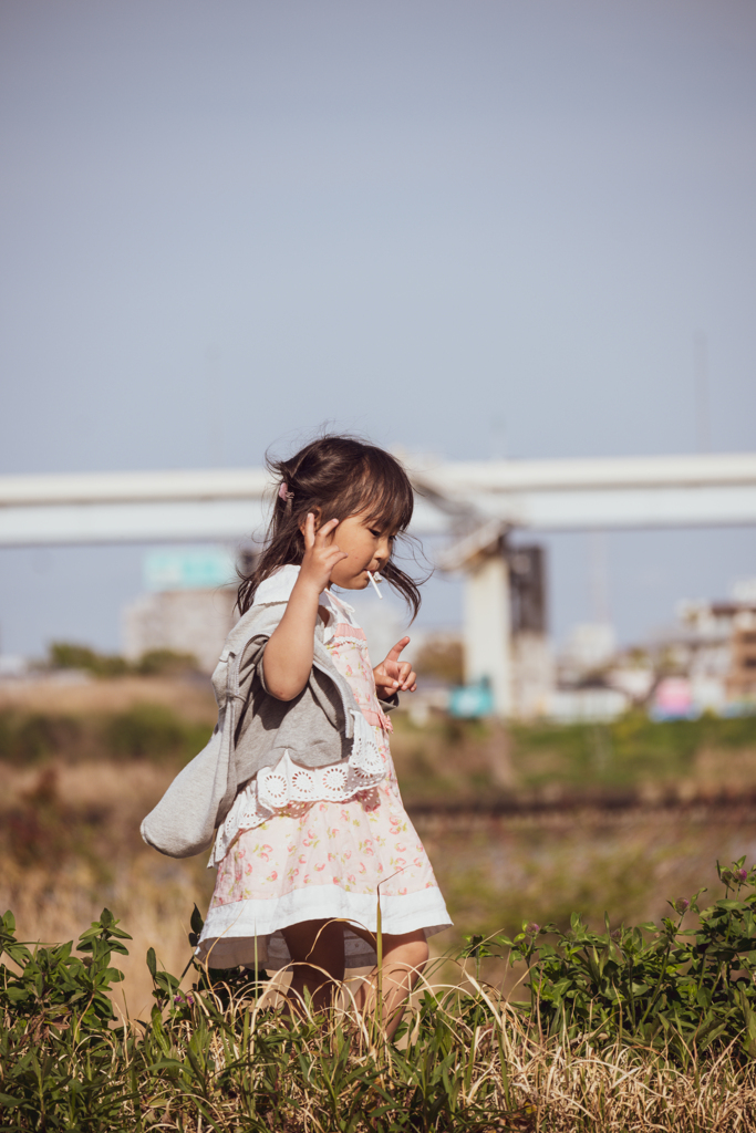 蝶々を追いかけて