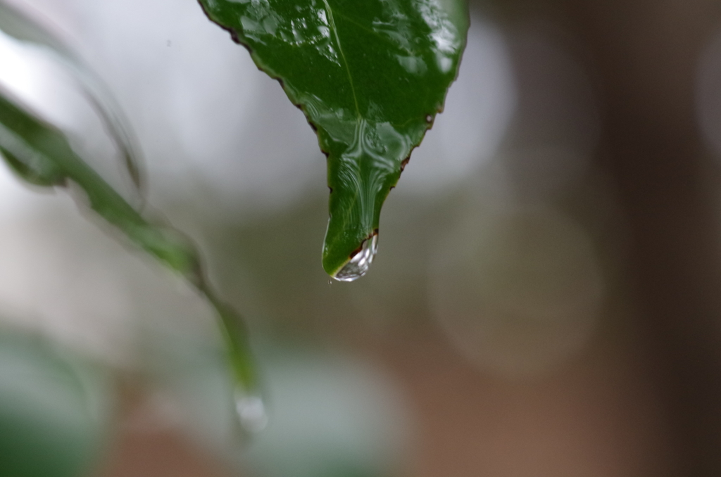 雨の日は