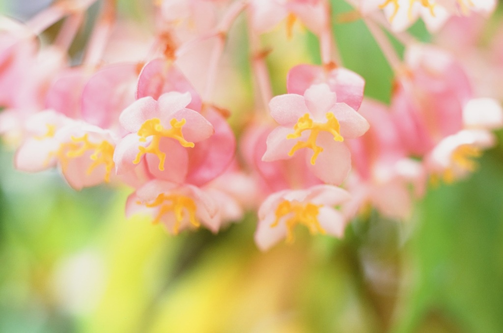 植物公園にて 03