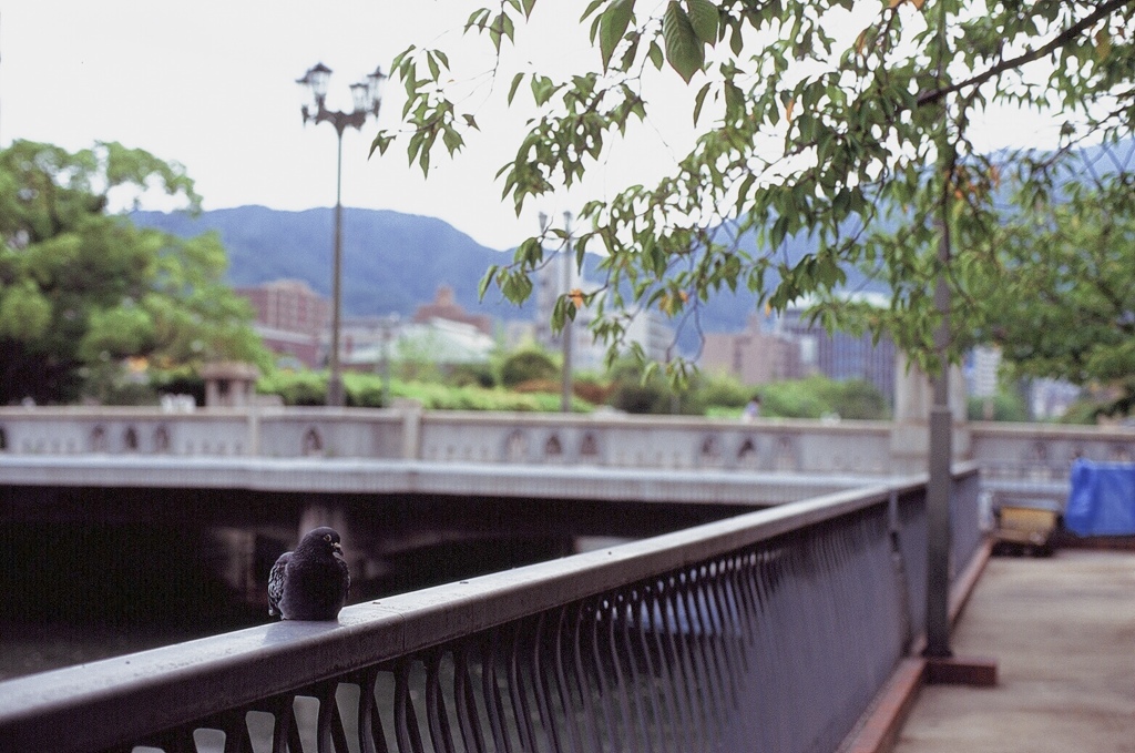 街角スナップのつもり