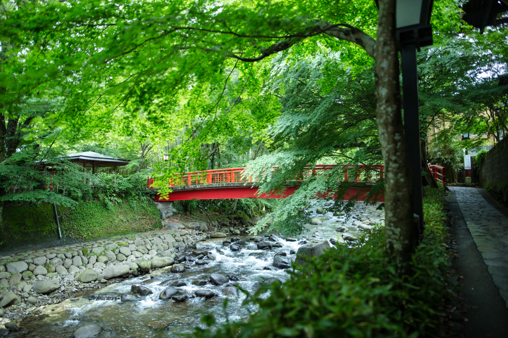 新緑　修善寺　温泉街