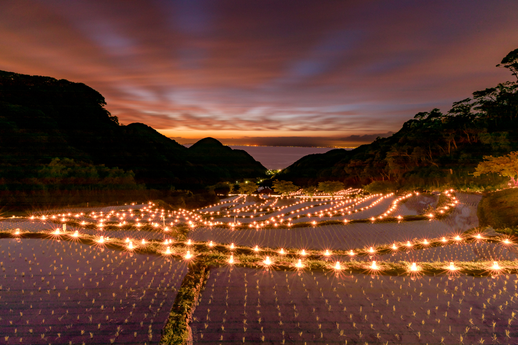 Rice terraces of dusk