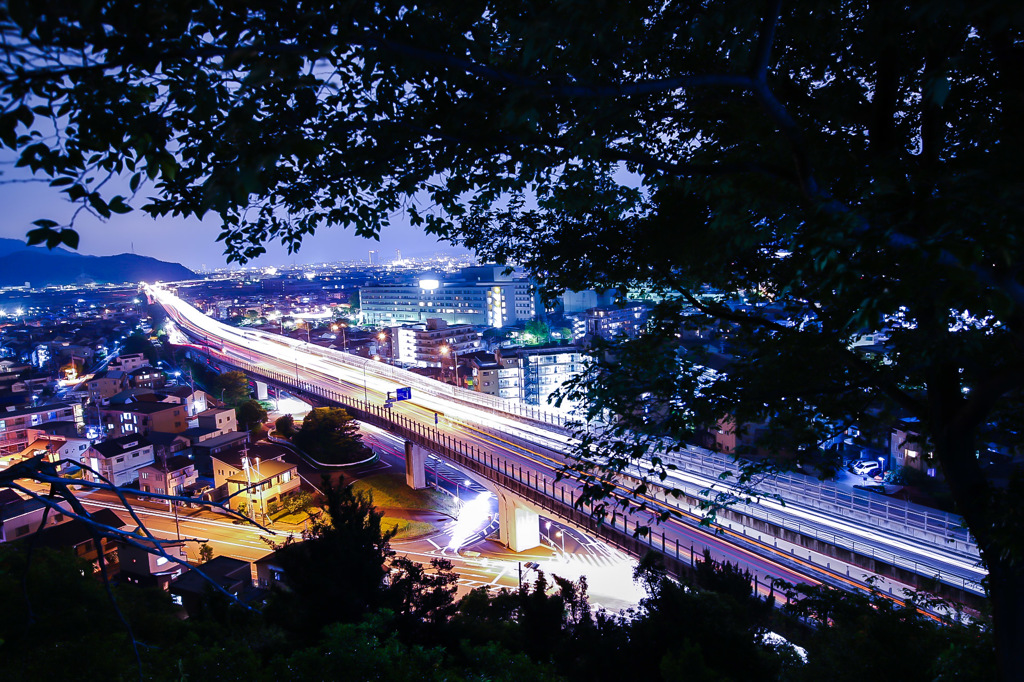 国道1号線バイパス