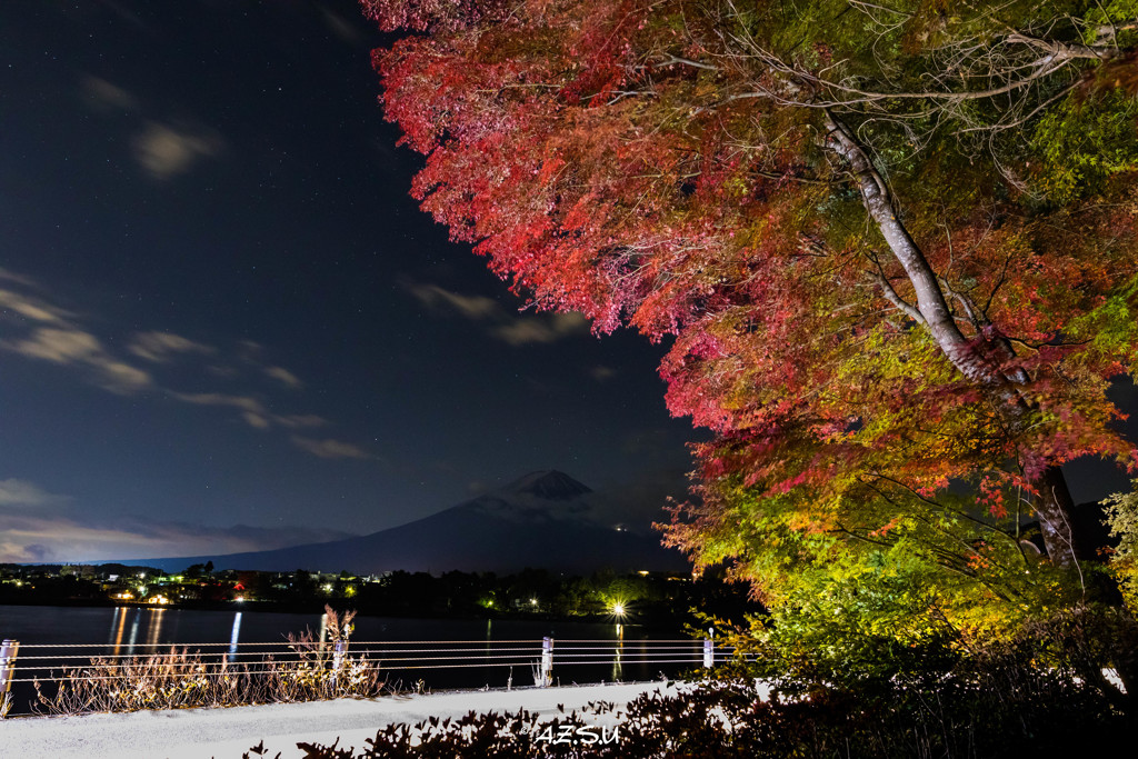 Autam Leaves Mtfuji