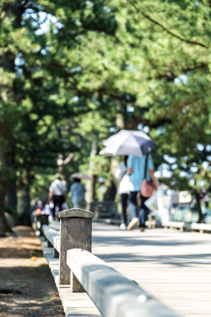 三保の松原　神の道