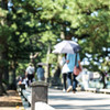 三保の松原　神の道