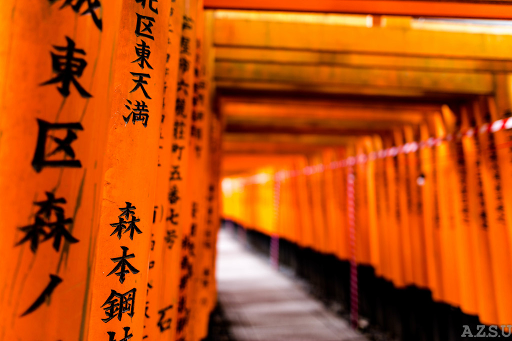 伏見稲荷　千本鳥居