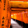 伏見稲荷　千本鳥居