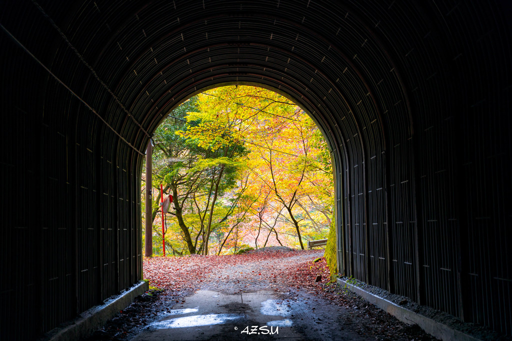 トンネル抜けたら