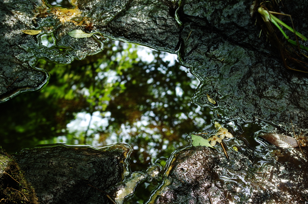IMGP4571_2