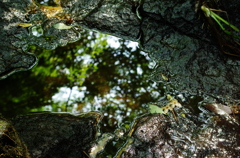 IMGP4571_2