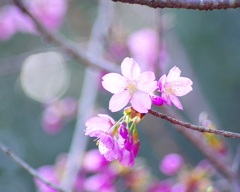 桜田門。。（笑）