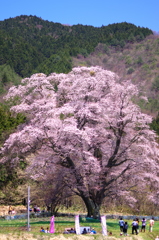 青い空の下。。