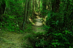 IMGP4664_2