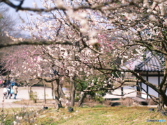 庄原　備北丘陵公園２２