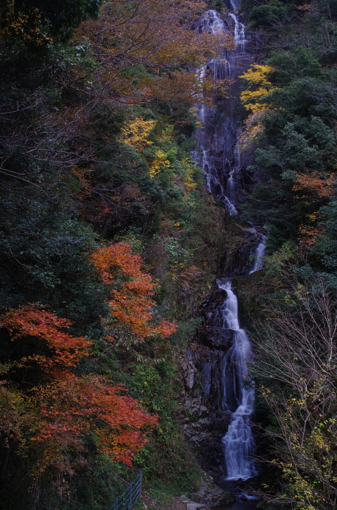 ココロノ情景。。