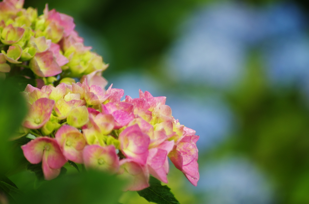 広島＿三景園借景＿４