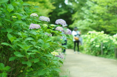 本気で撮る＿三景園７