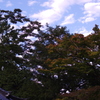 佛通寺紅葉＿借景