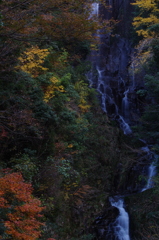情景。。。晩秋の滝