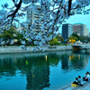 花見公園の夕景。。