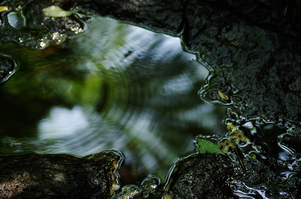 IMGP4583_2