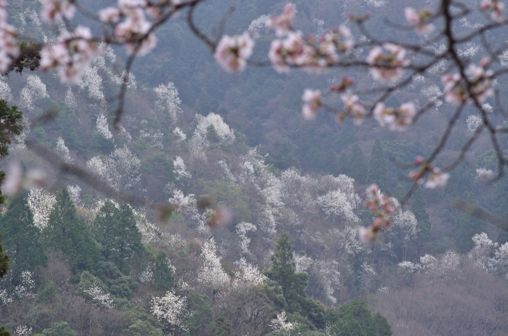 広島_御調八幡宮借景4