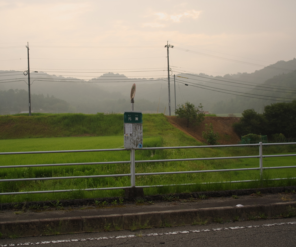 帰省の朝。