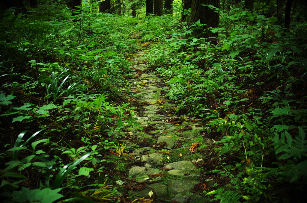 備後＿熊野神社借景