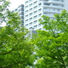 都市の初夏。。