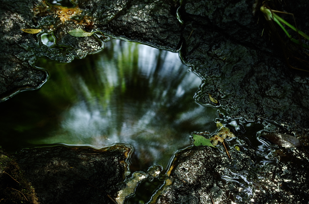IMGP4573_2