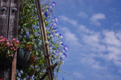 秋空。。