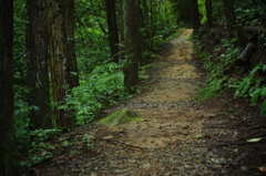 静寂の路。。