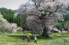 夫婦一緒に