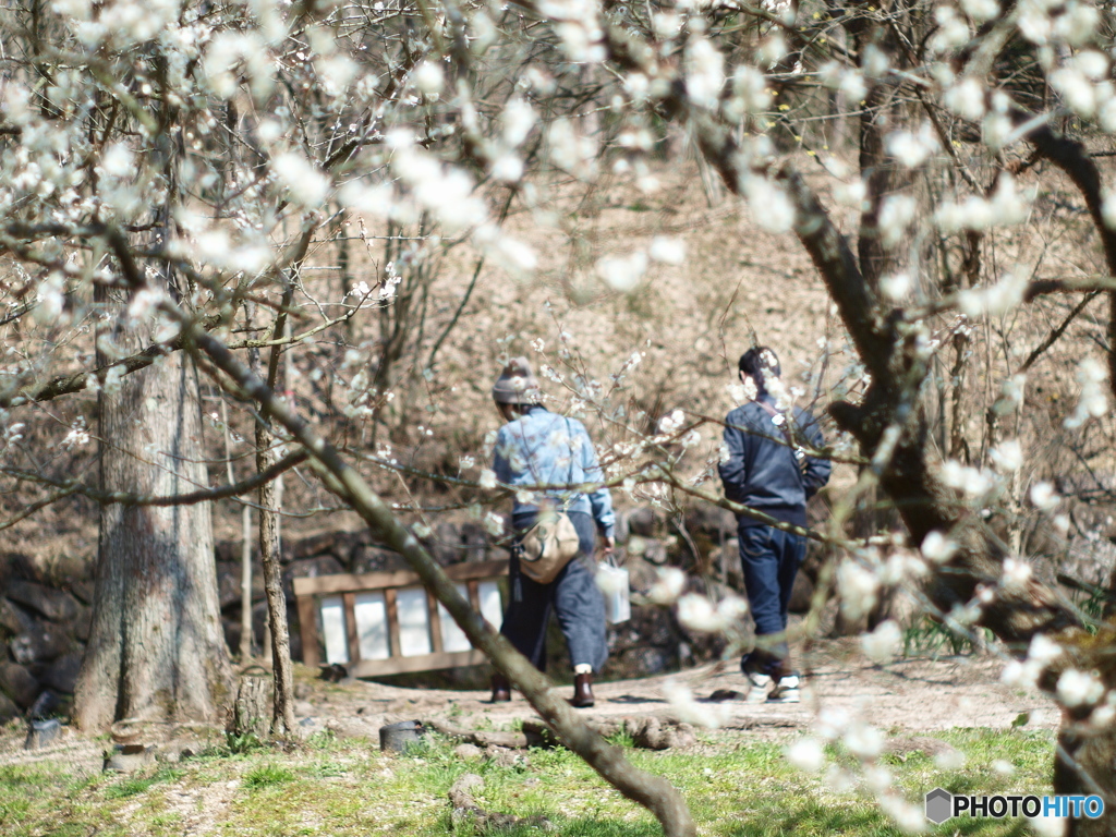庄原　備北丘陵公園２１