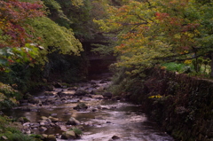 佛通寺紅葉＿借景