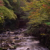 佛通寺紅葉＿借景