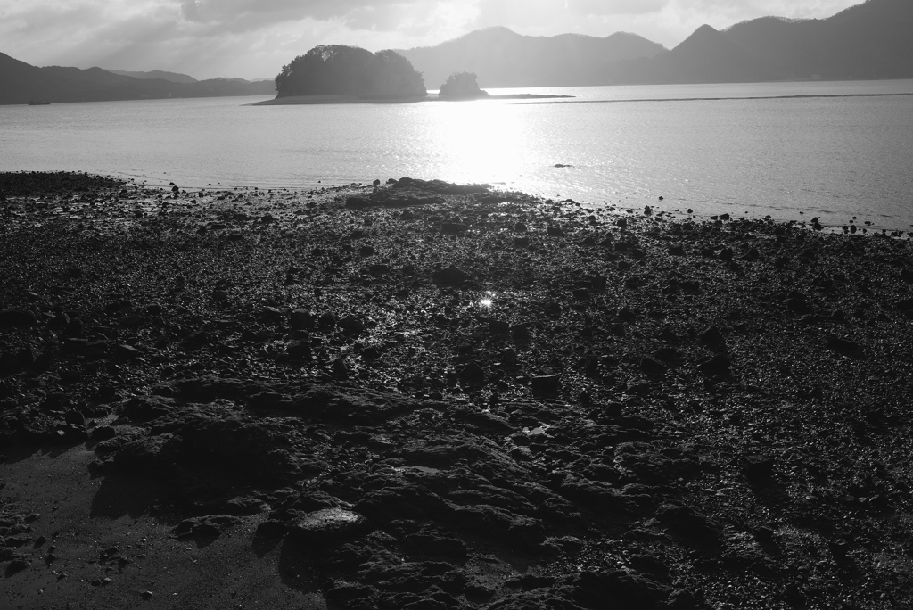 瀬戸内旅情。。