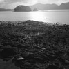 瀬戸内旅情。。