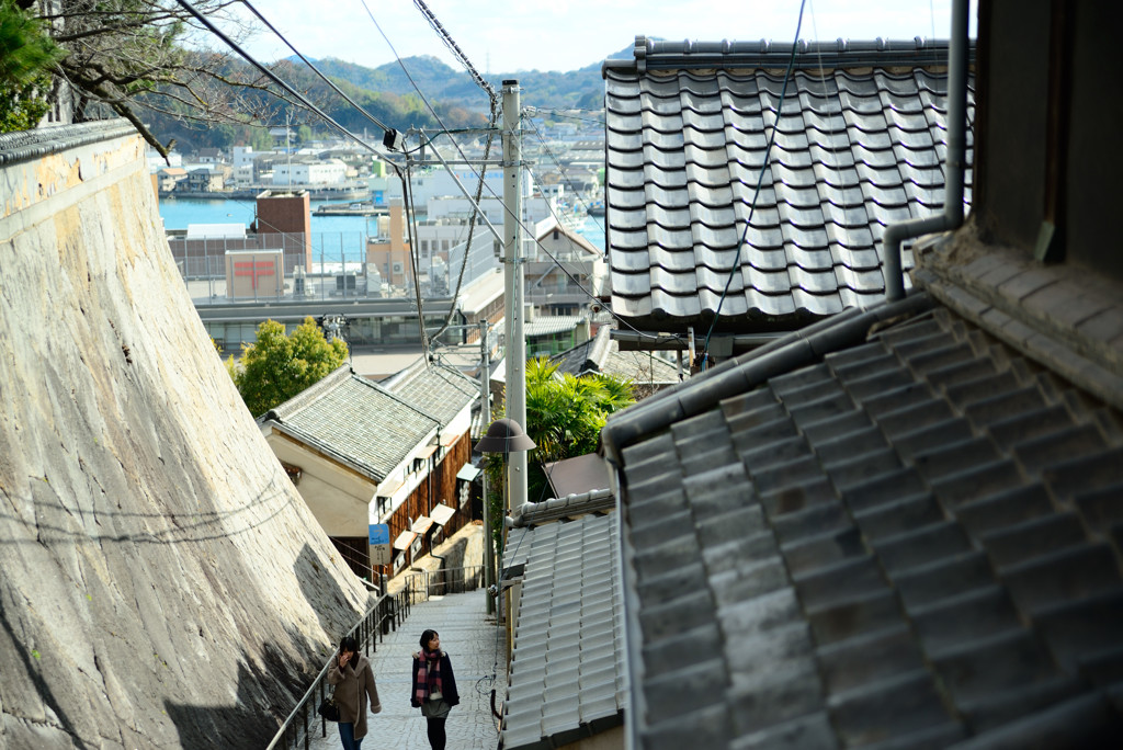 旅路。。