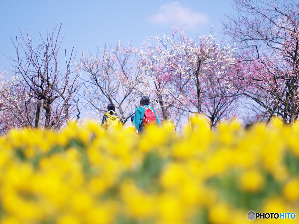 庄原　備北丘陵公園４