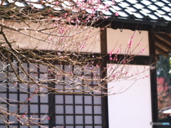 庄原　備北丘陵公園２５