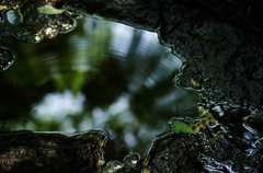 IMGP4577_2