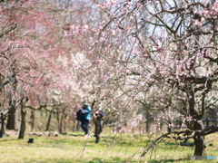 庄原　備北丘陵公園２０