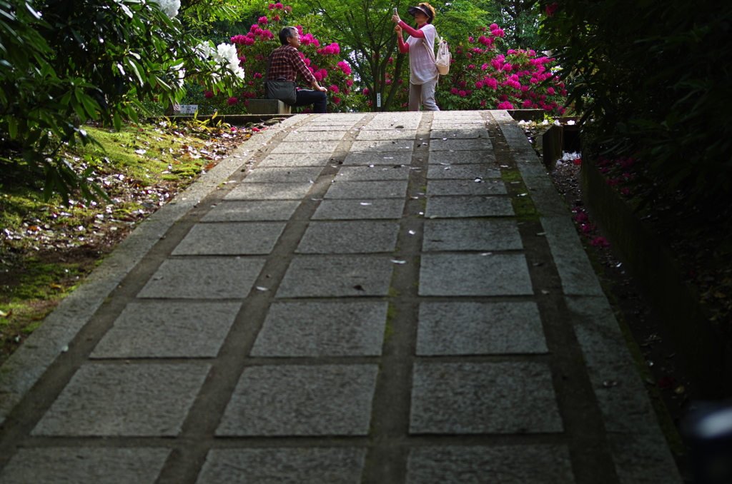 広島　福成寺Ⅱ_3