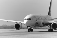 機体。。