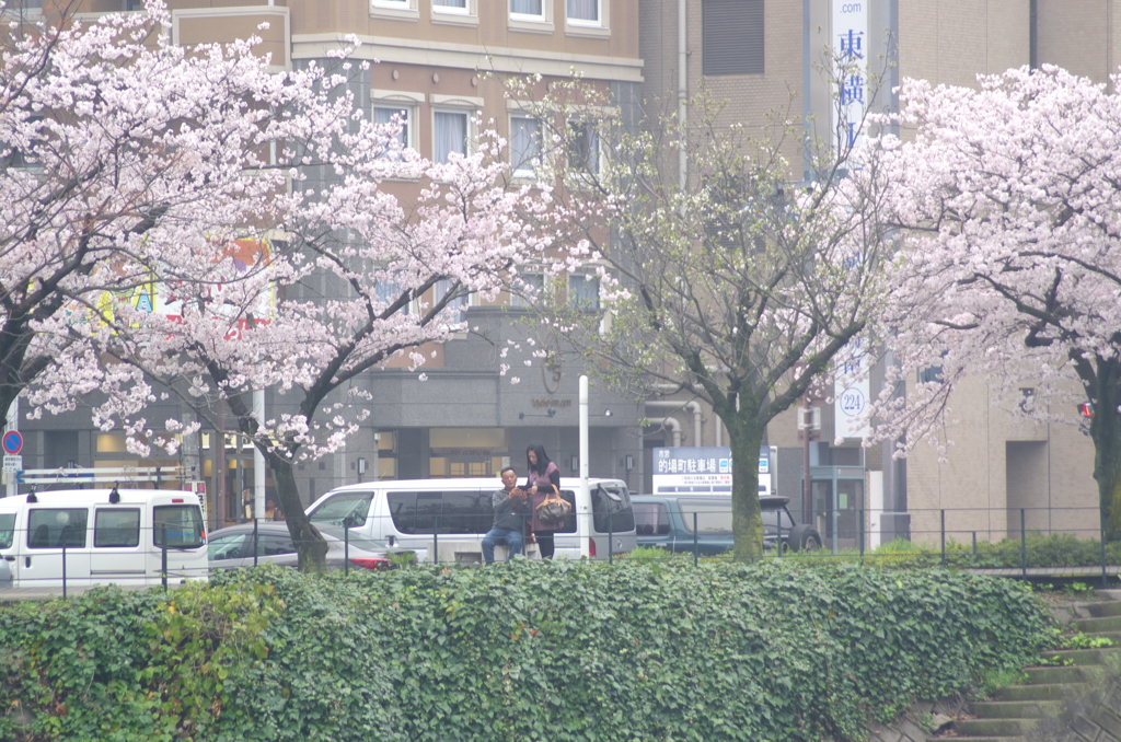 幸福のスナップ（＾＾）。