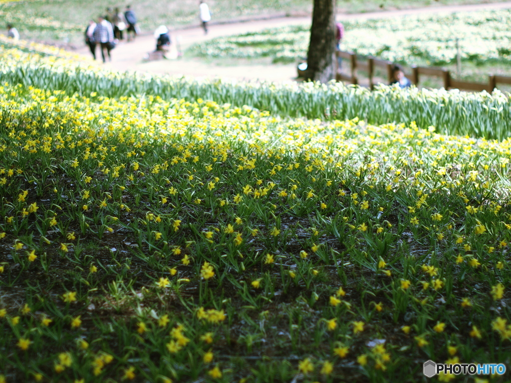 庄原　備北丘陵公園１３