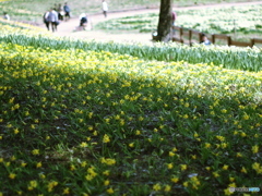 庄原　備北丘陵公園１３